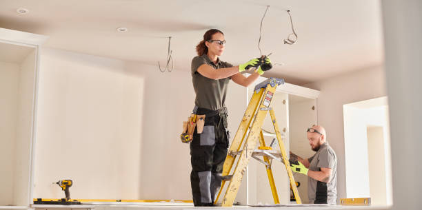 Best Licensed Electrician  in Wadena, MN