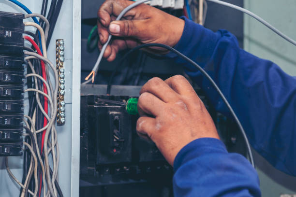Best Electric Panel Repair  in Wadena, MN